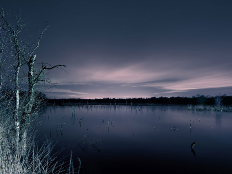 Light Art Photography - Landschaft Hagener Koenigsmoor - by JanLeonardo